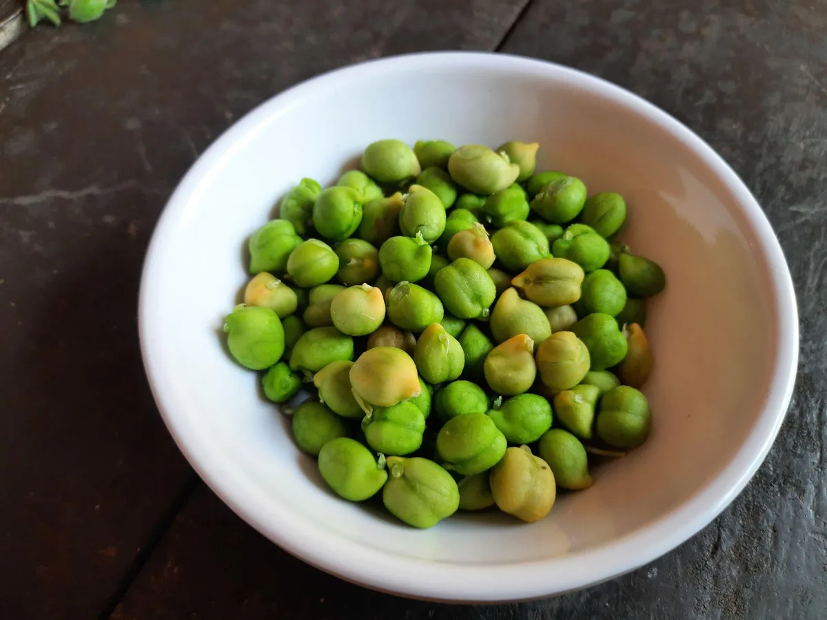 Akshar Green Chick Peas 500g