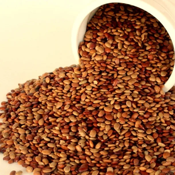 Akshar Horse Gram Millet 500g
