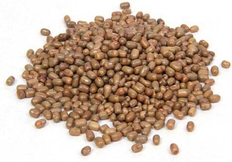 Akshar Moth Beans 500g