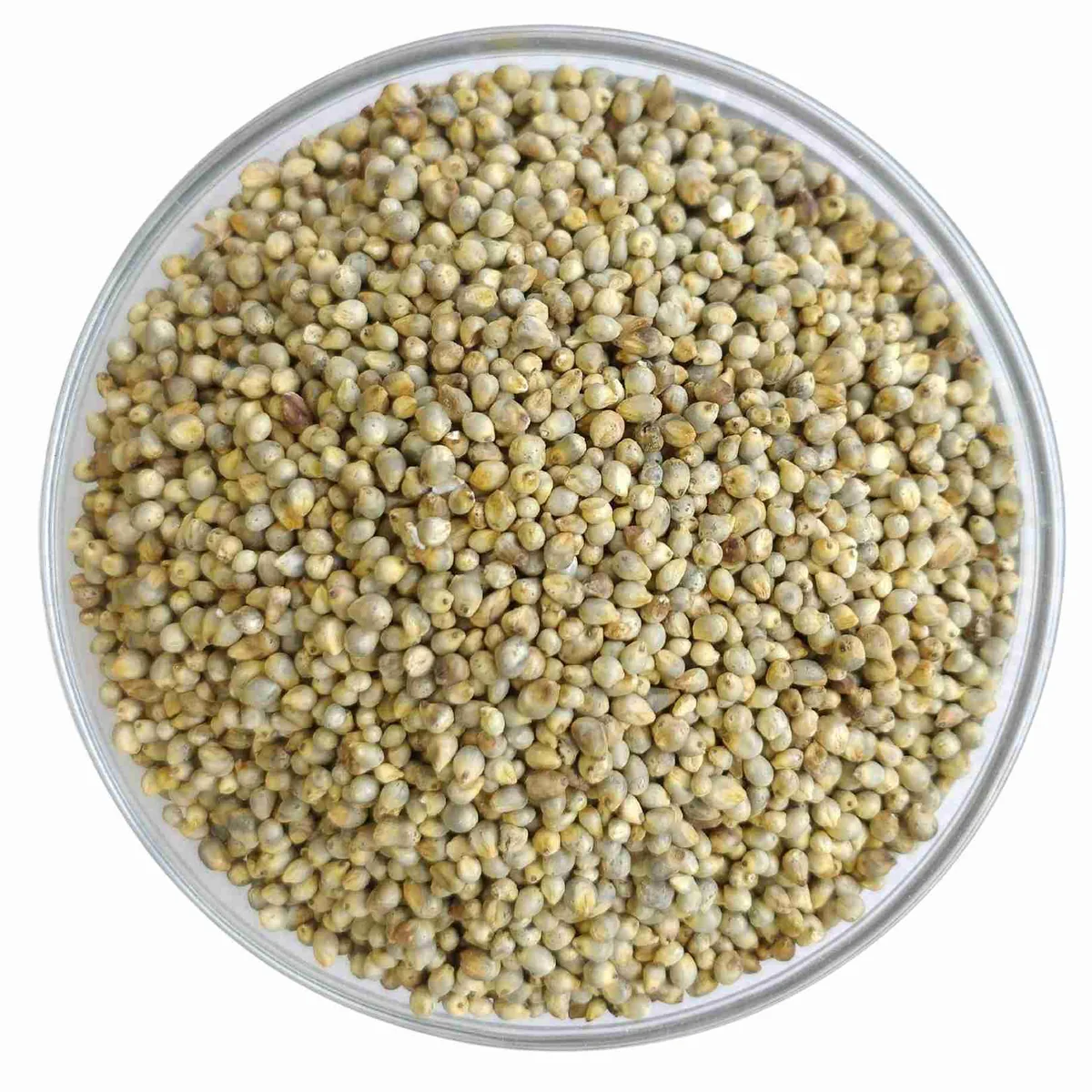 Akshar Pearl Millet 500g
