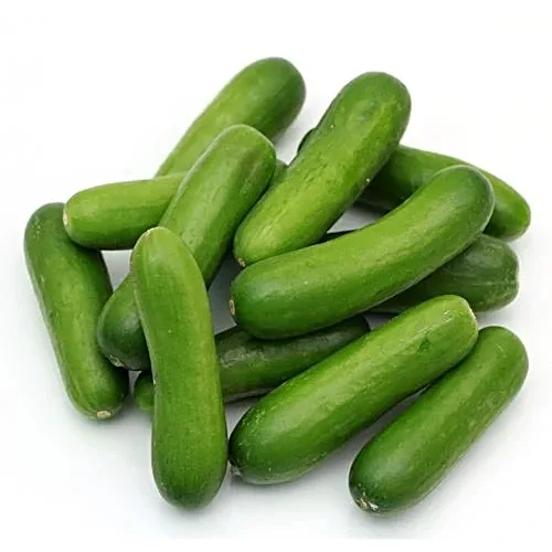 Baby Cucumber 500g