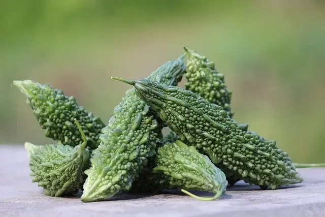 Bittergourd Long 400g