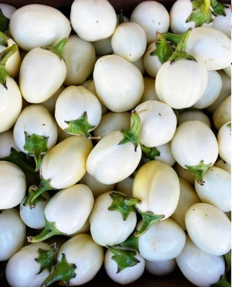 Brinjal White 300g