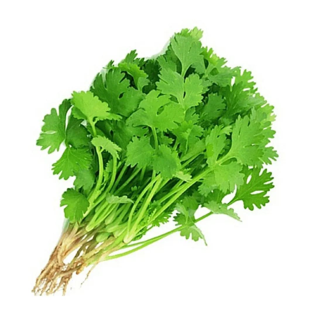Coriander 200g