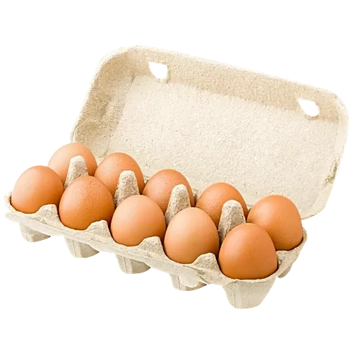 Fresh Brown Egg 10s