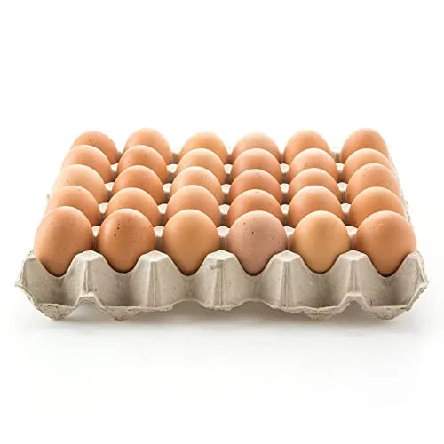 Fresh Brown Egg 30s