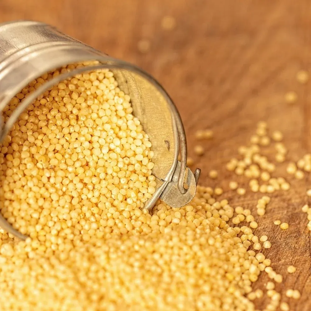 Organic Foxtail Millet 500g